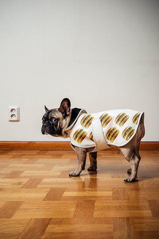 Illustration for article titled Express your McDonaldâs-like individuality by putting Big Macs on everything